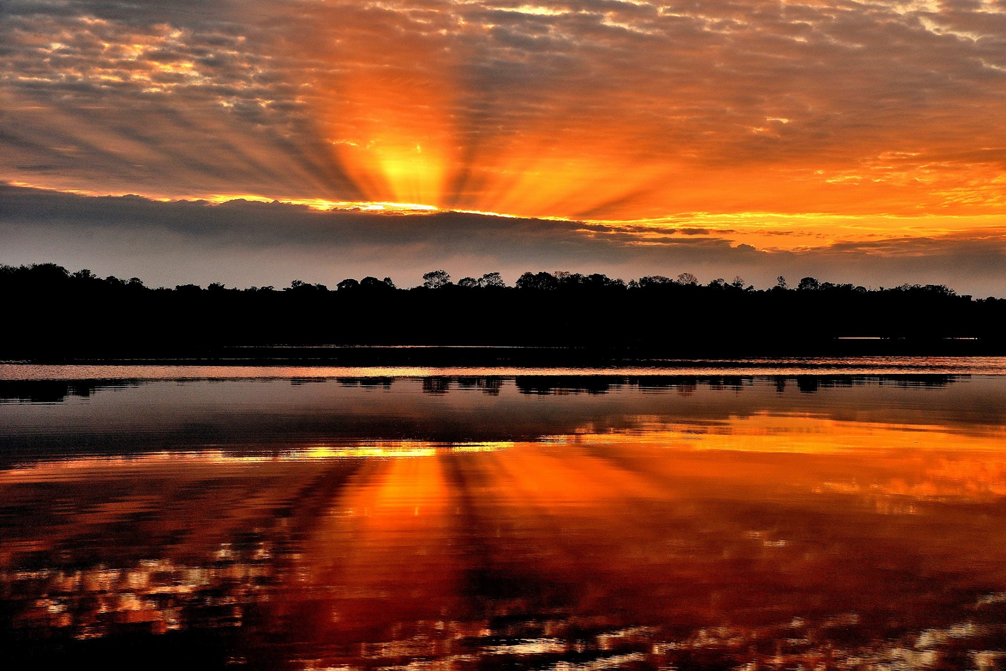 sunrise-amazon.jpg
